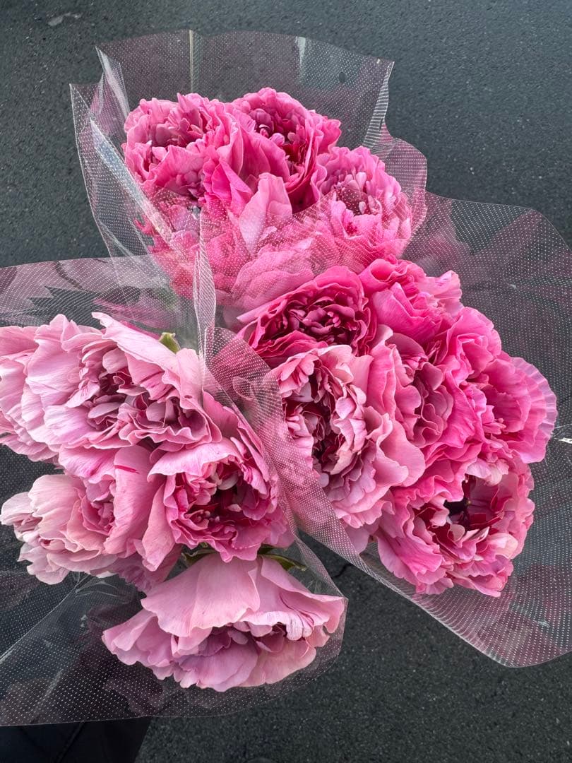 まつのり様 リクエスト 2点 まとめ商品