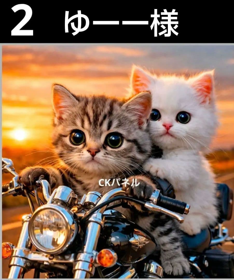 オーダーページ　ハンカチ50　バイクにゃんこ柄　ハンドメイド3/17