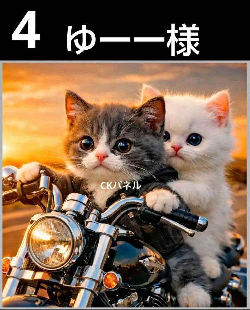 オーダーページ　ハンカチ50　バイクにゃんこ柄　ハンドメイド3/17