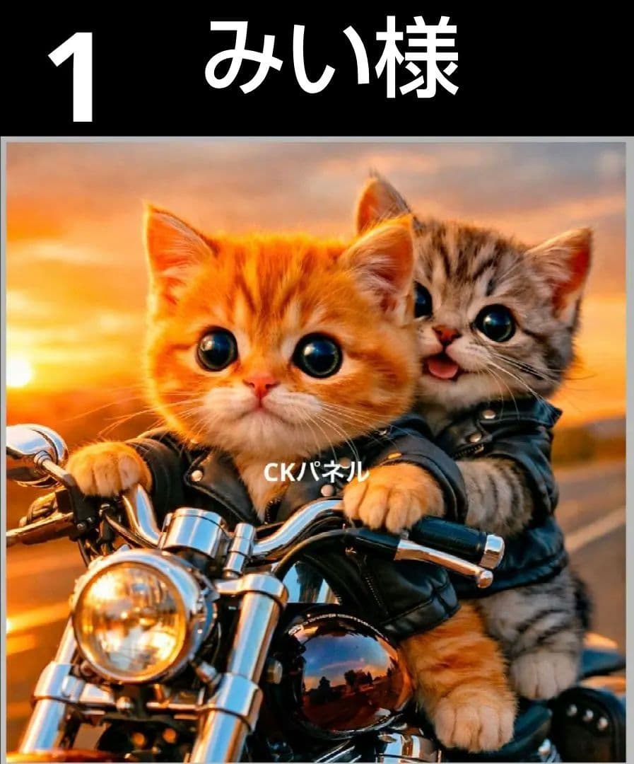 オーダーページ　ハンカチ50　バイクにゃんこ柄　ハンドメイド3/17