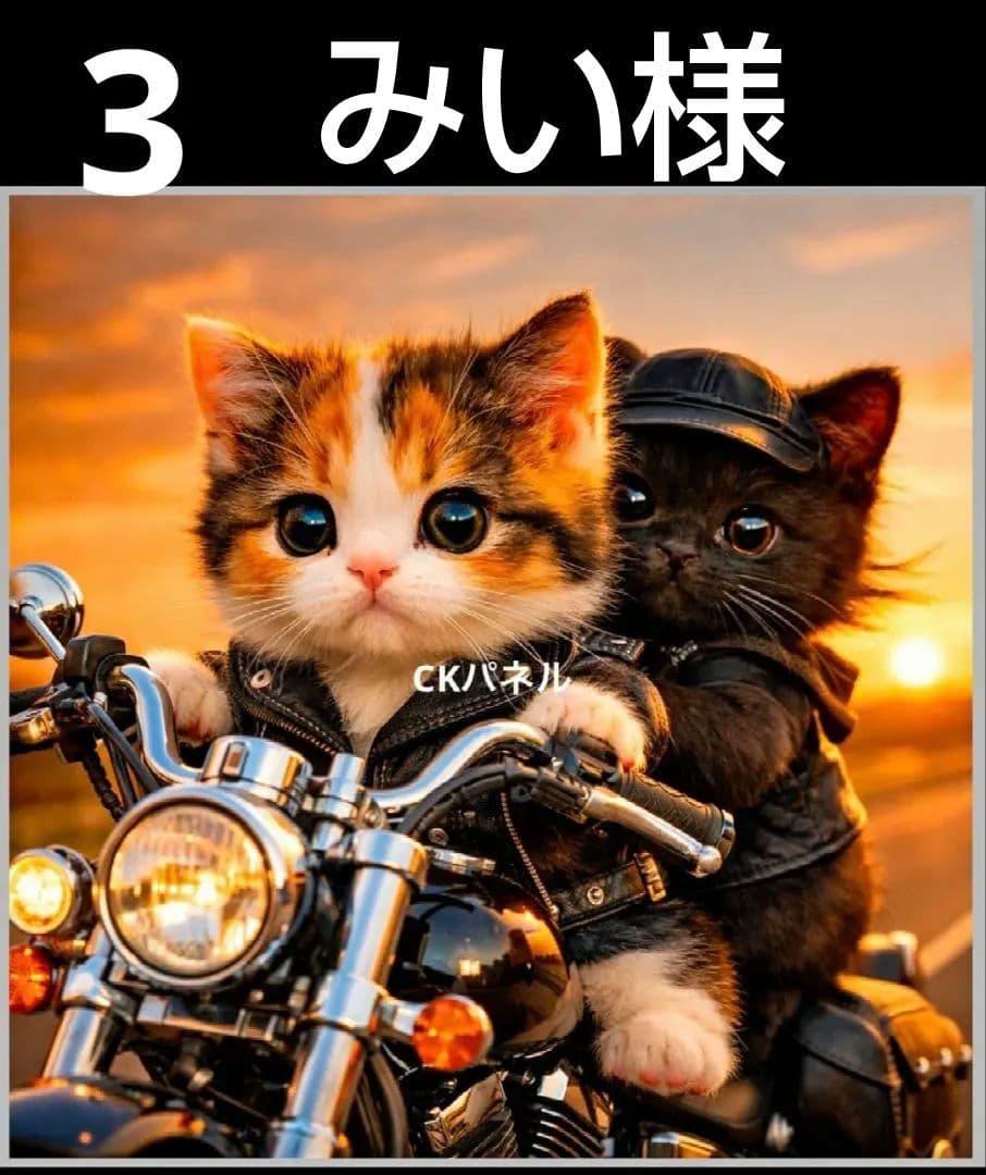 オーダーページ　ハンカチ50　バイクにゃんこ柄　ハンドメイド3/17