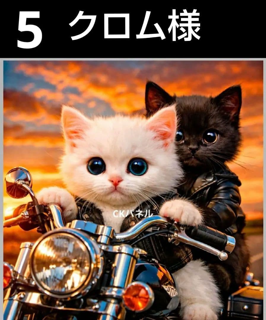 オーダーページ　ハンカチ50　バイクにゃんこ柄　ハンドメイド3/17