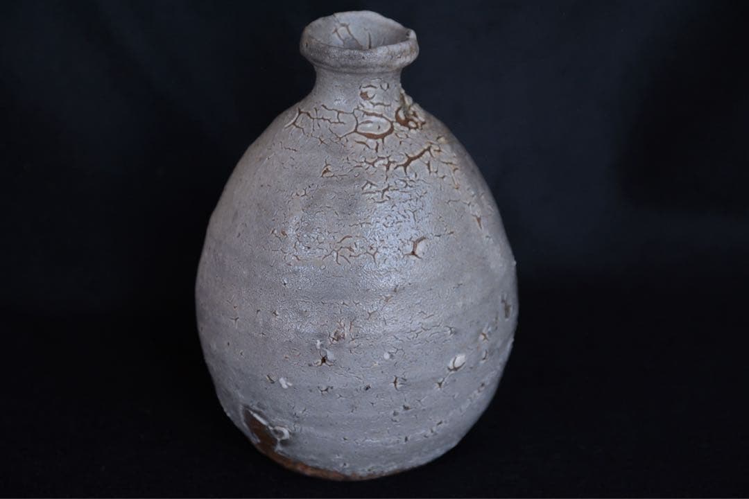 みつるつる様●【中川自然坊】絵唐津徳利