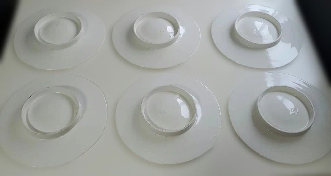 白地に黒ストライプの皿 6枚セット