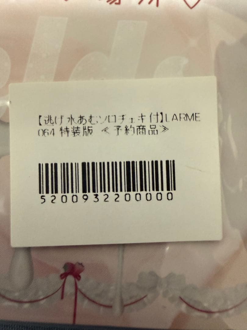 LARME 064 特装版 アートブックきゅるりんってしてみて