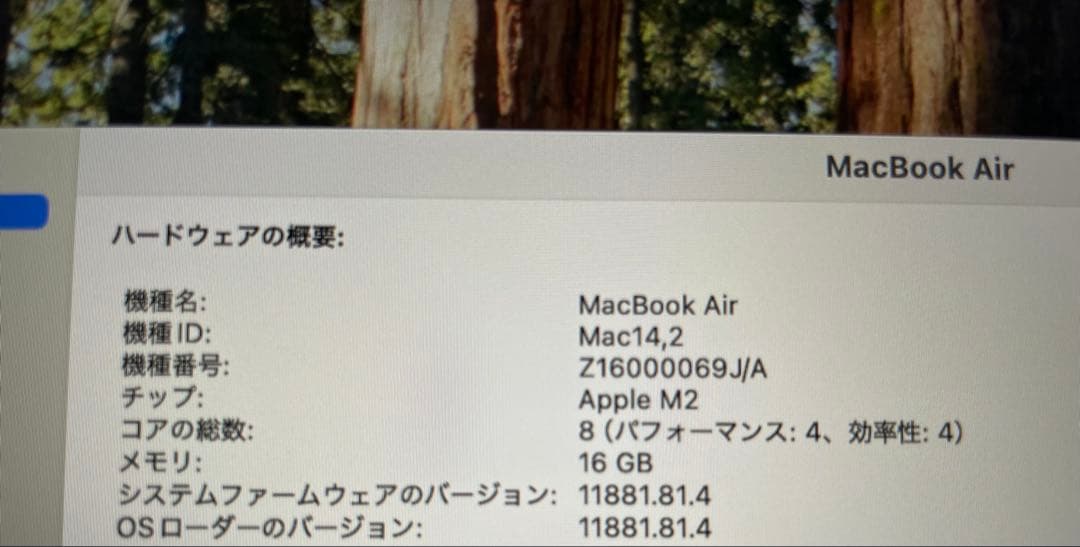 MacBook本体 Apple MacBook Air (M2, 16GB)