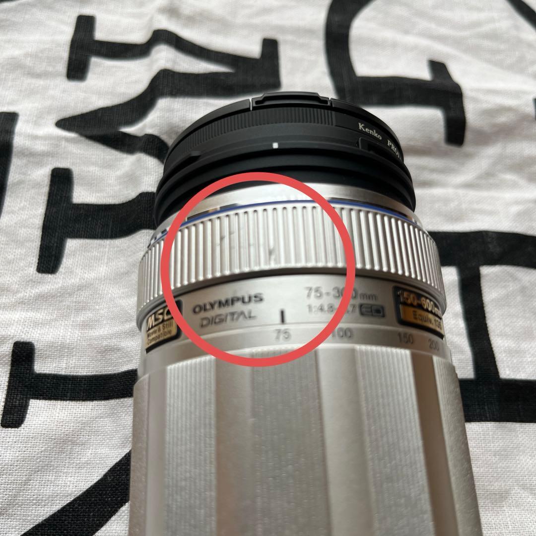 望遠レンズ OLYMPUS M.Zuiko 75-300mm