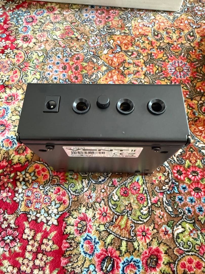 ギター Neo Instruments mini VENT II