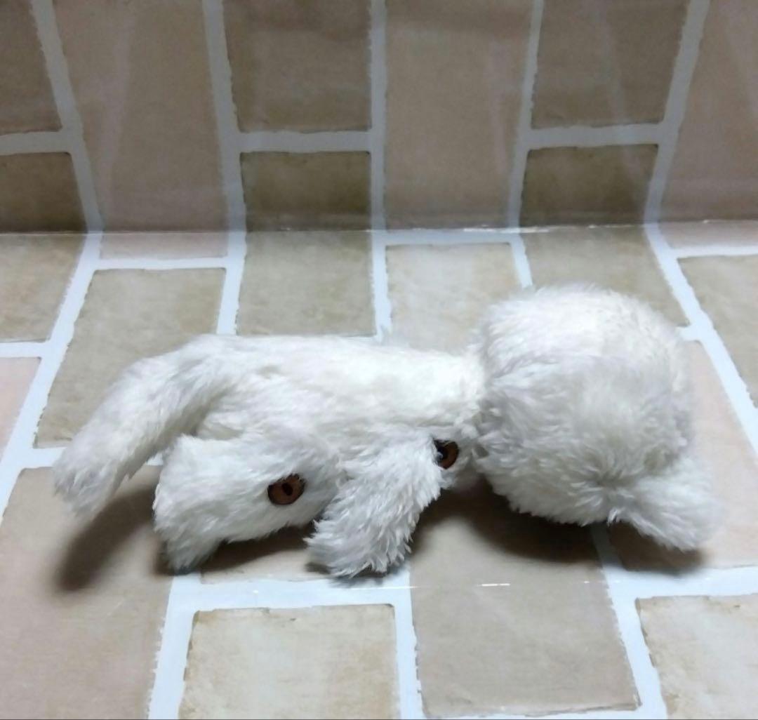 アーティストベア　ねこ　幸運を呼ぶ　オッドアイ　ぬいぐるみ　猫