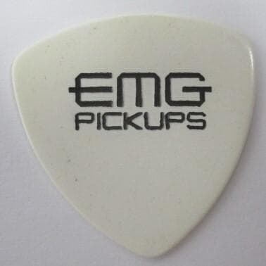 スレイヤー Slayer ケリー・キング Kerry King ギターピック