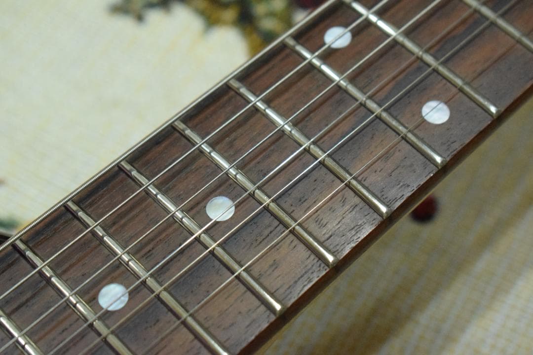 Fernandes ZO-3 スケルトン 動作良好 ケース付