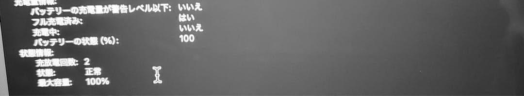 MacBook Air M4 13インチ シルバー 16GB 256GB