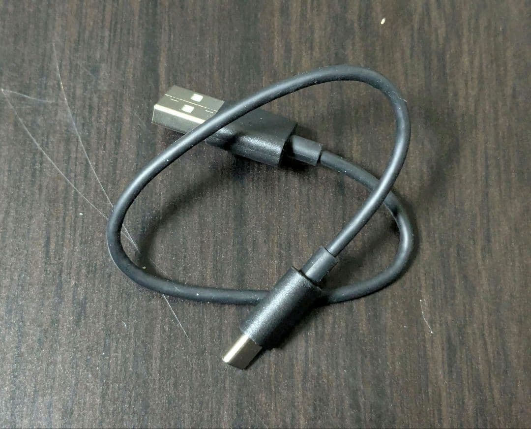 イヤホン VICTOR WOOD master HA-FW5000T