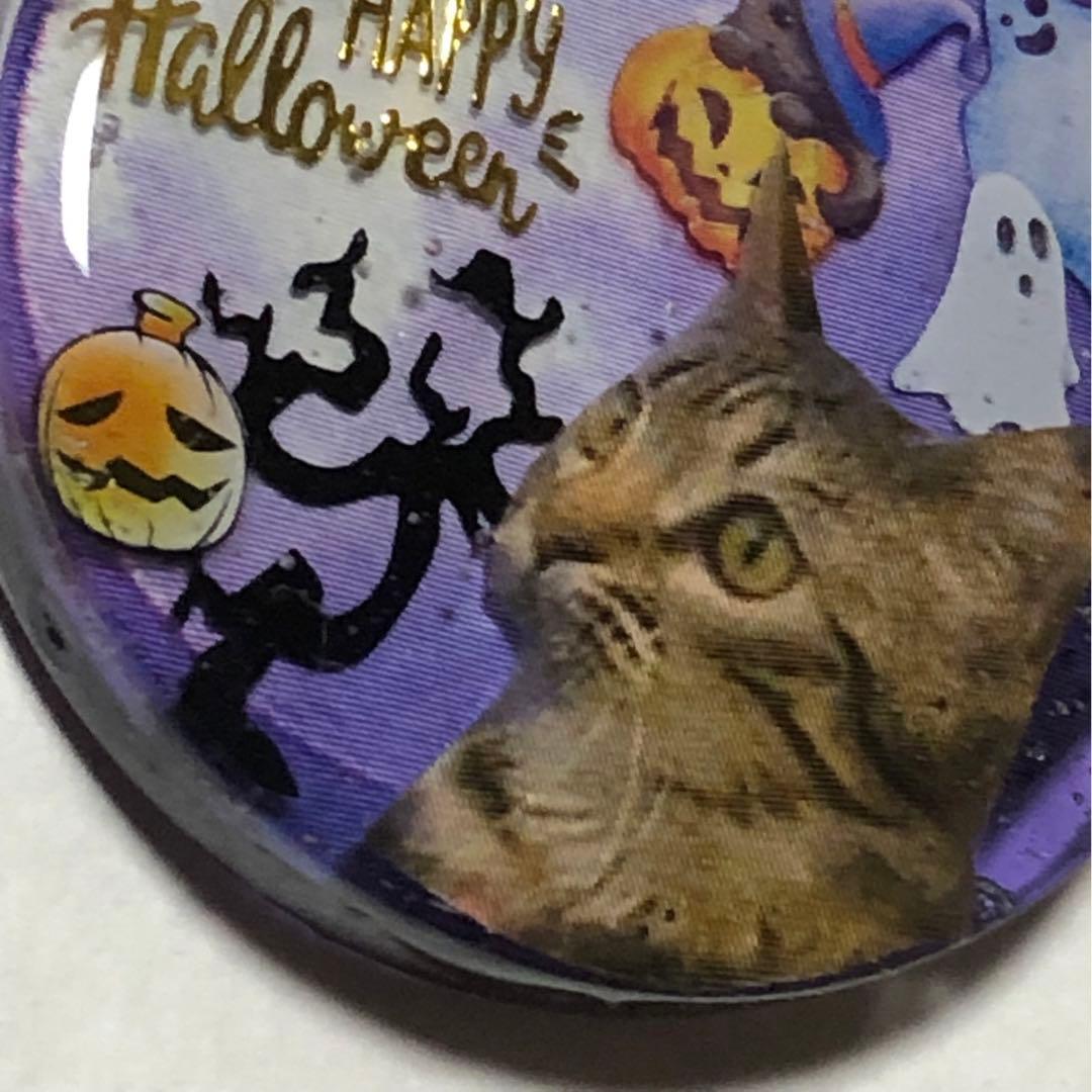 NO.193 おすまし猫ちゃん♡ハロウィン