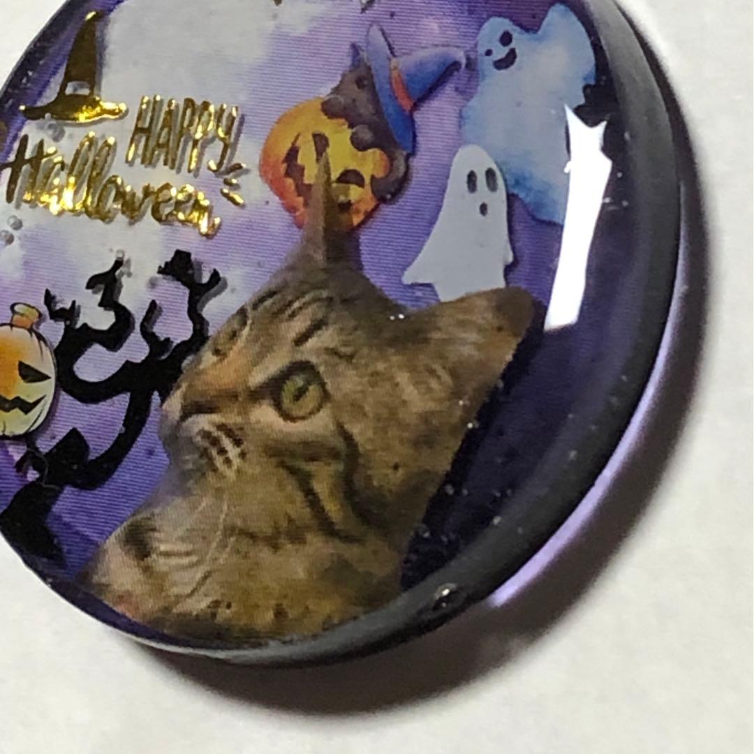 NO.193 おすまし猫ちゃん♡ハロウィン