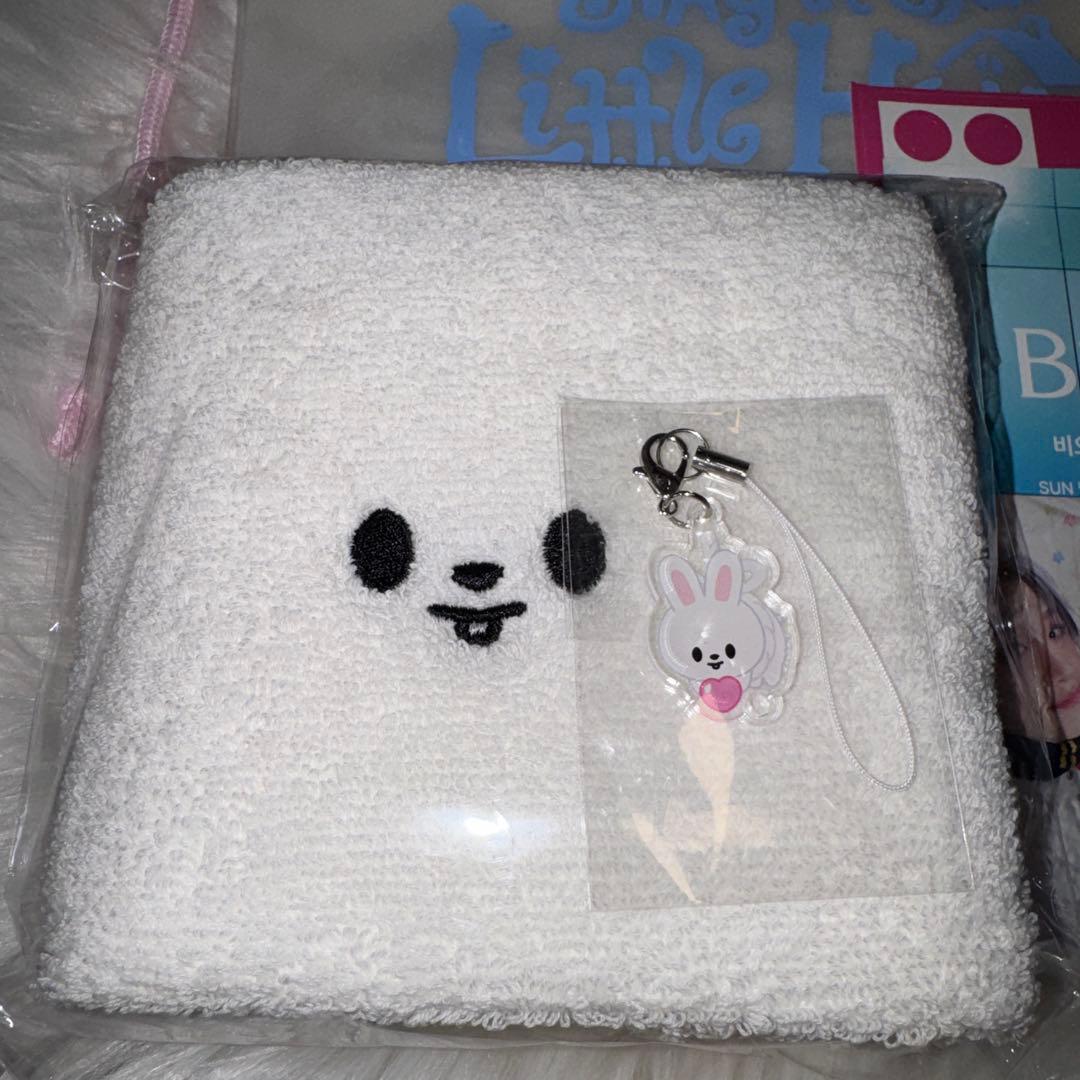 StrayKids ペンミ リノ 入場者特典【抜きなし完全版】