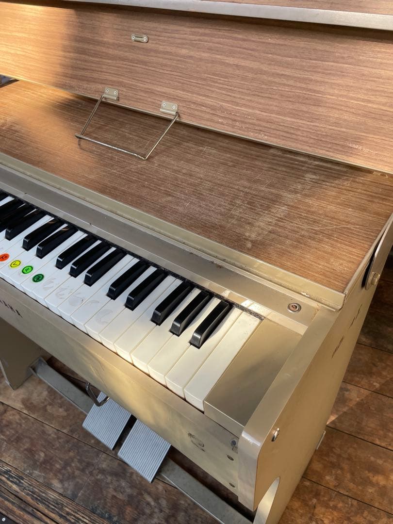 オルガン　学校