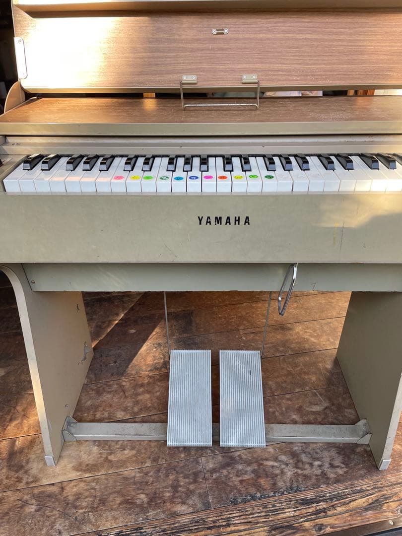 オルガン　学校