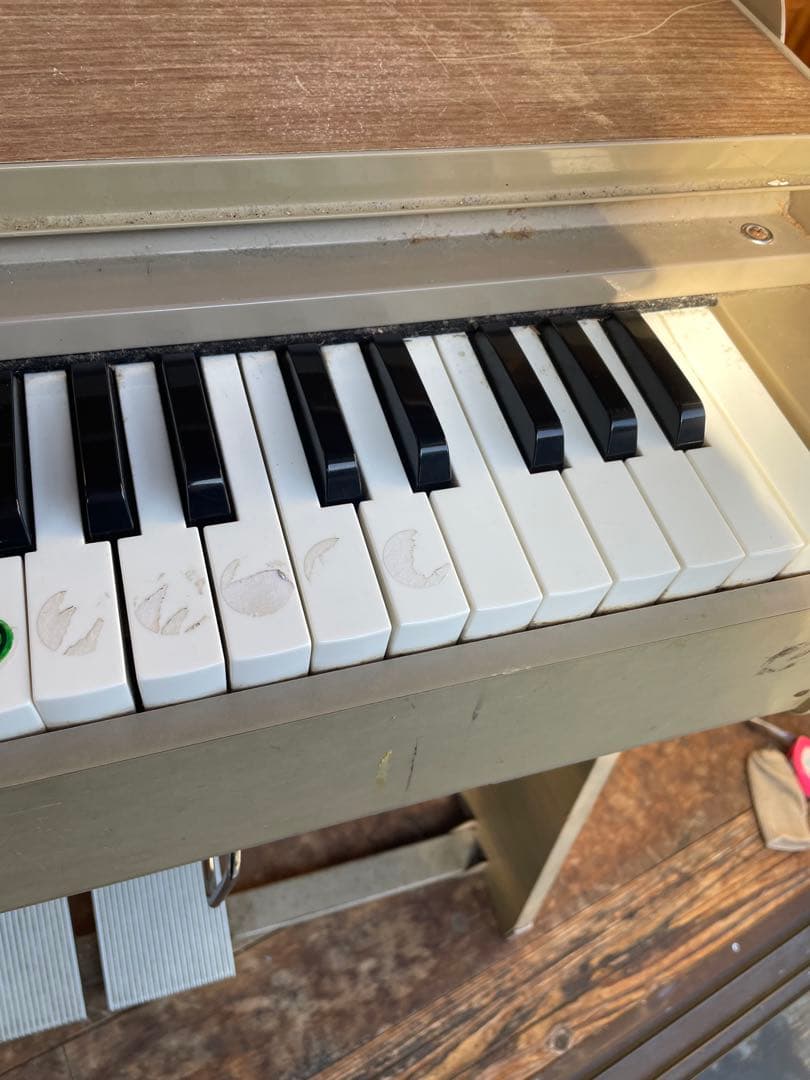 オルガン　学校