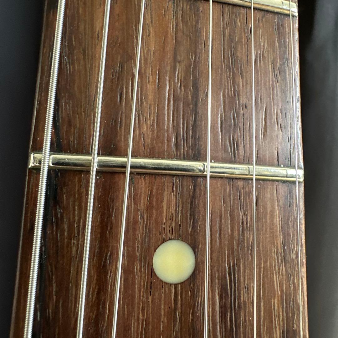 ギター Edwards E-SE-100M