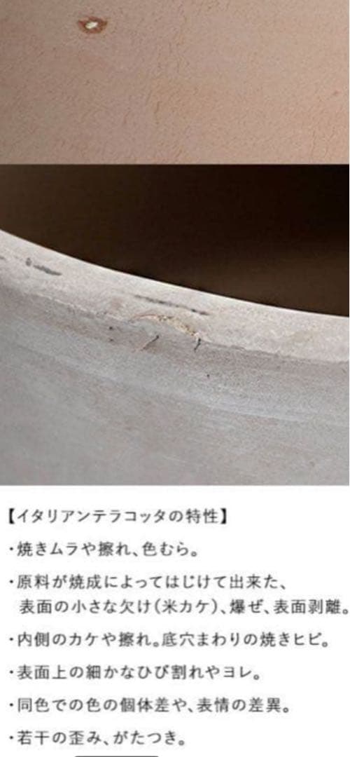 イタリア製テラコッタ11号テラコッタ植木鉢 模様付き