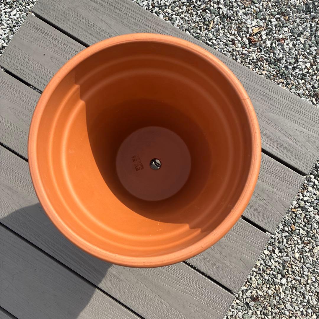 イタリア製テラコッタ11号テラコッタ植木鉢 模様付き