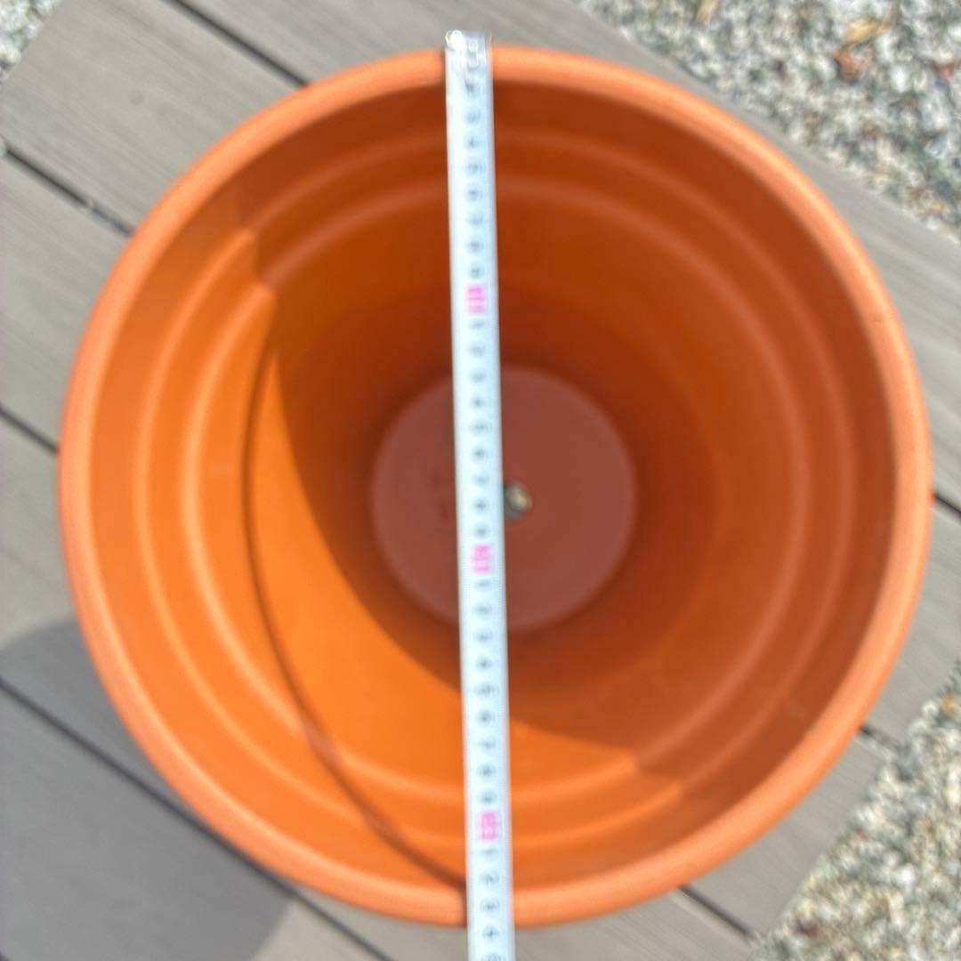 イタリア製テラコッタ11号テラコッタ植木鉢 模様付き