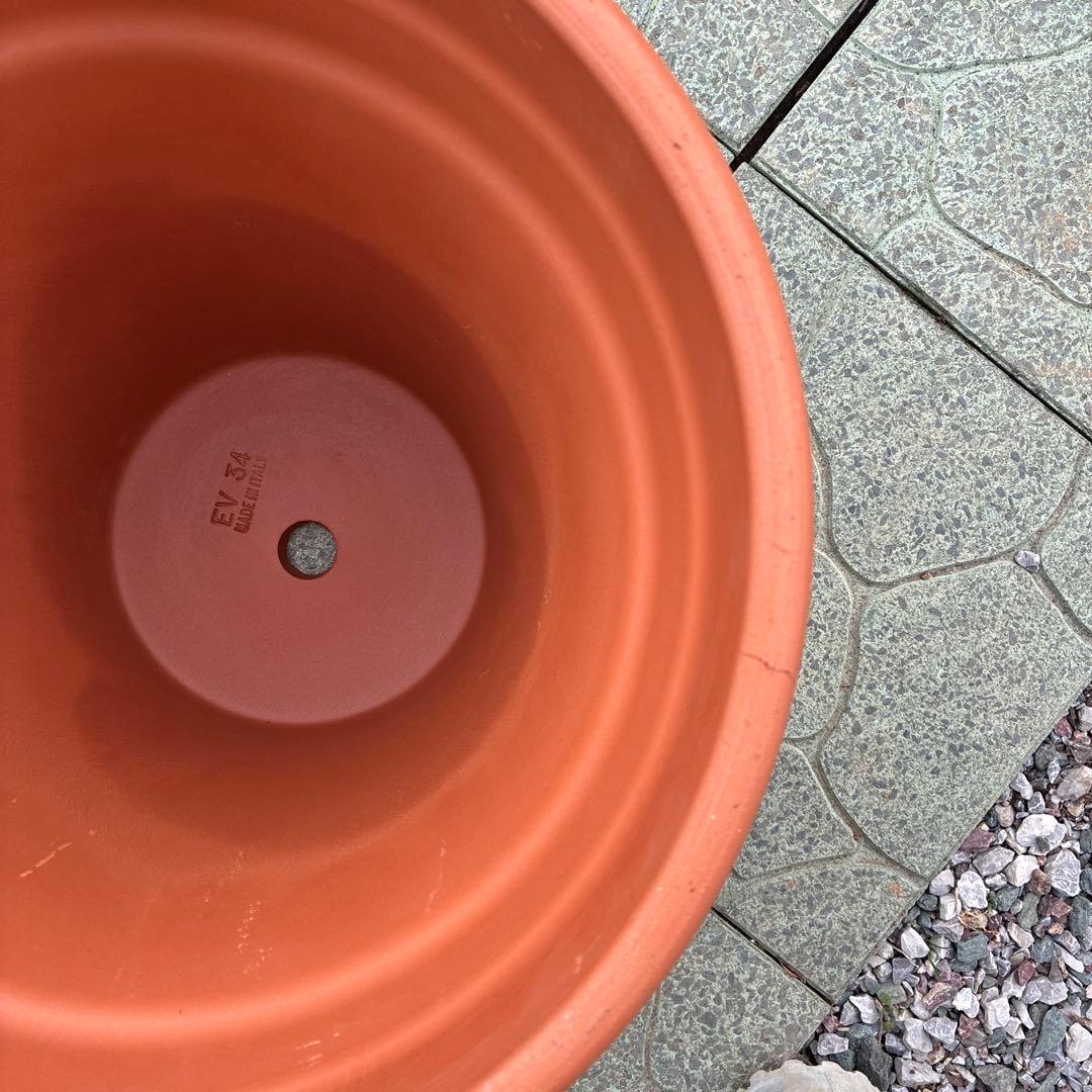 イタリア製テラコッタ11号テラコッタ植木鉢 模様付き