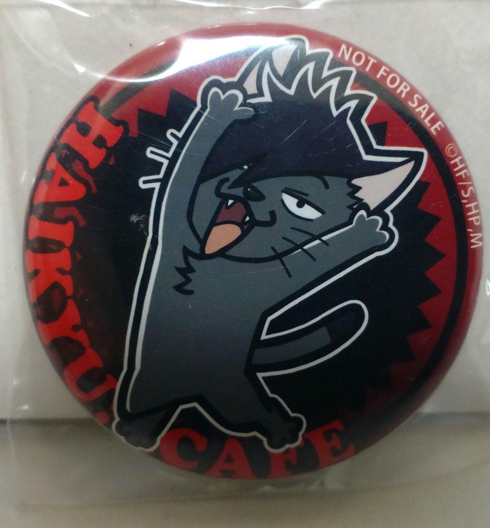 公*o様 ハイキュー!! 合同練習会2019 非売品缶バッジ