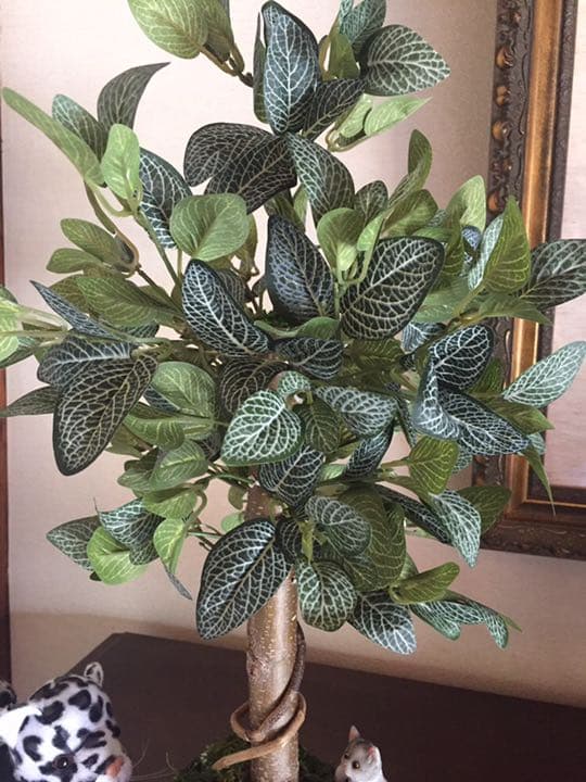 光触媒 人工観葉植物 フィトニア