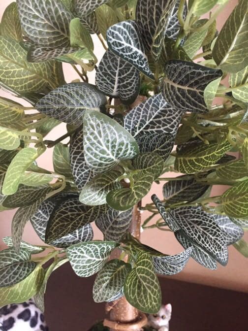 光触媒 人工観葉植物 フィトニア