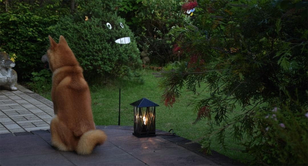 ステンドグラス ランプ ランタン2 室内用 室内照明 卓上照明 間接照明