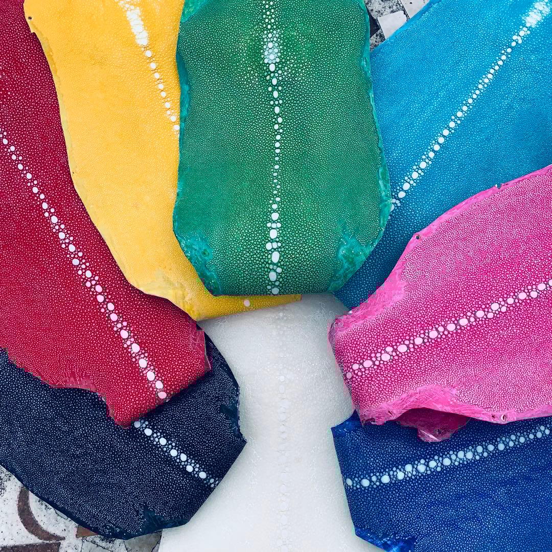 30 AA 連石 ローストーン エイ革 鮫革 スティングレイ スティングレー