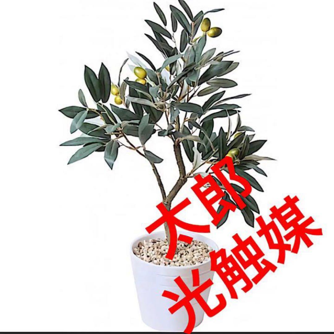 光触媒　人工観葉植物　ウォールグリーン　フェイクグリーン　オリーブ57