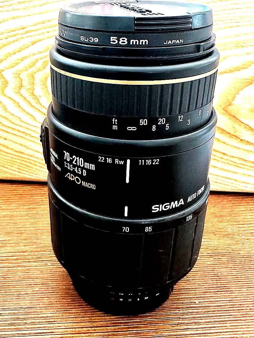 Nikon F80 フィルム一眼レフカメラ　レンズ付き