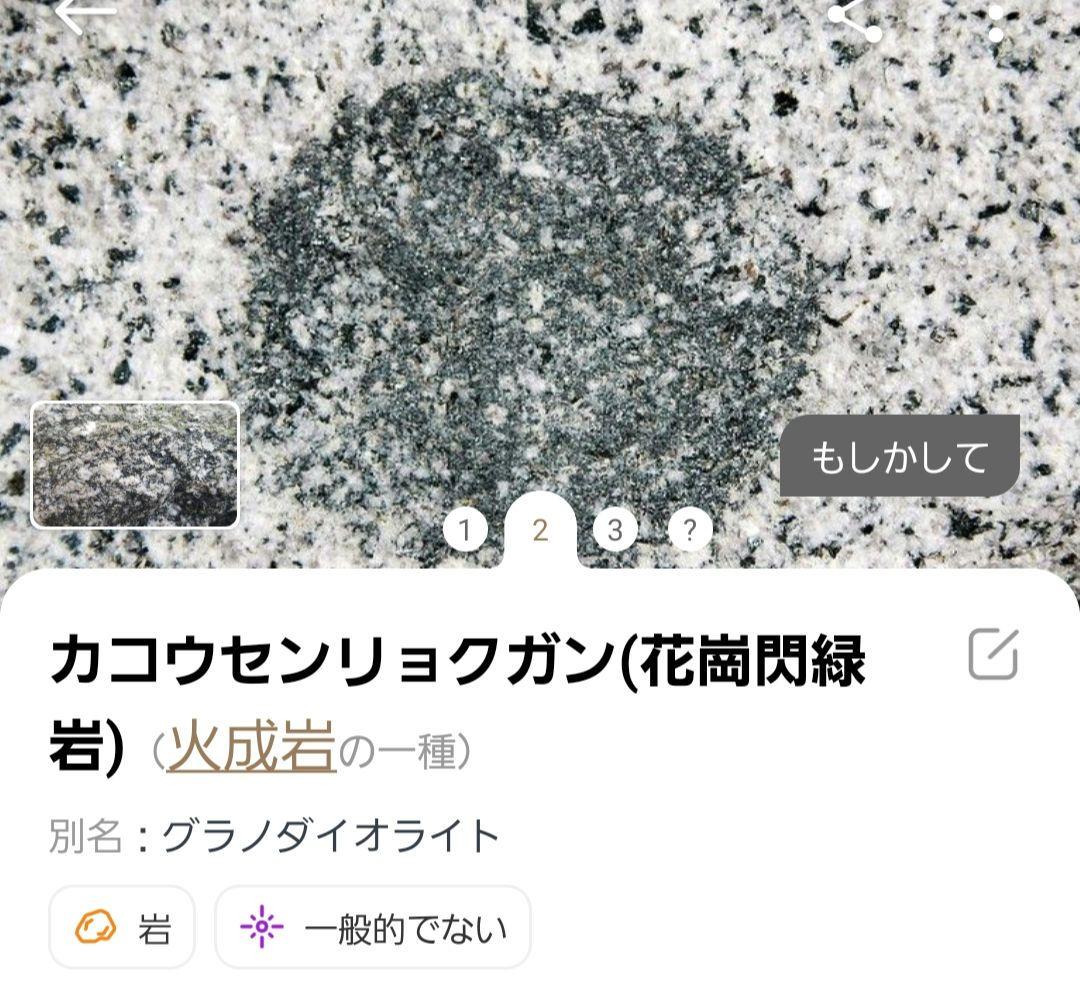 水溜り石　水鉢　センリョクガン　オブジェ　アンティーク　ガーデニング