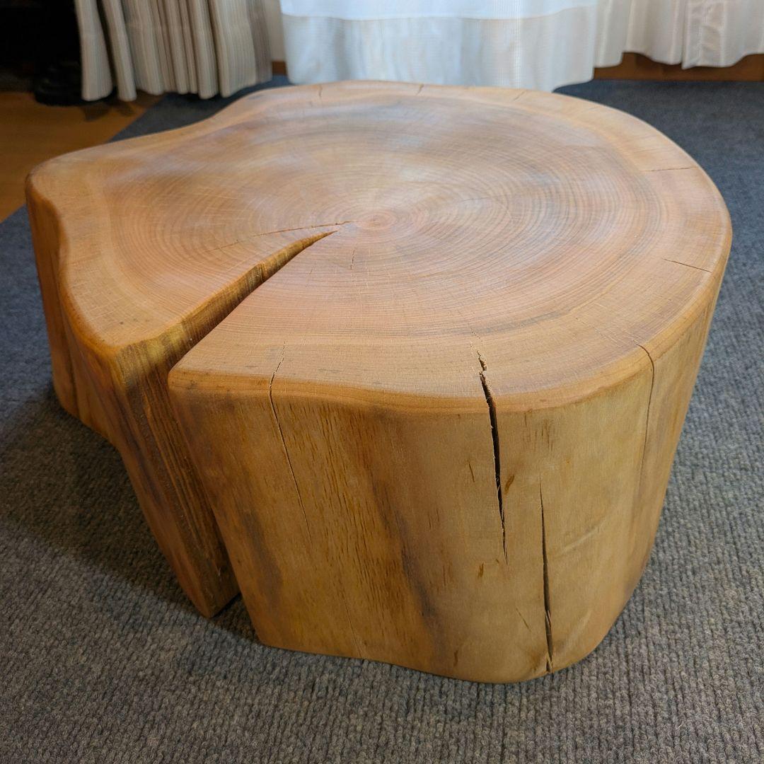 山桜　天然木　切り株　輪切り　高さ約19.5㎝