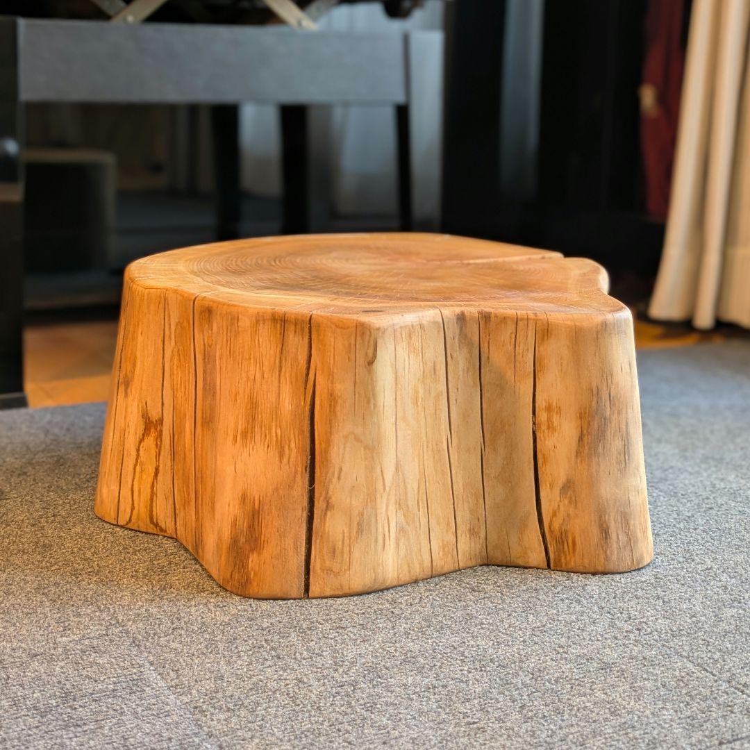 山桜　天然木　切り株　輪切り　高さ約19.5㎝