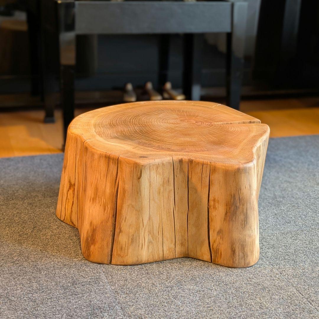 山桜　天然木　切り株　輪切り　高さ約19.5㎝