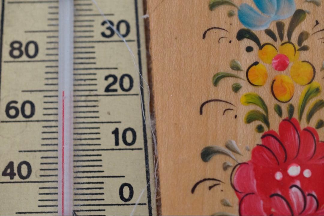 オリンパス ZUIKO 1:1 MACRO 80mm f4 & 65-116