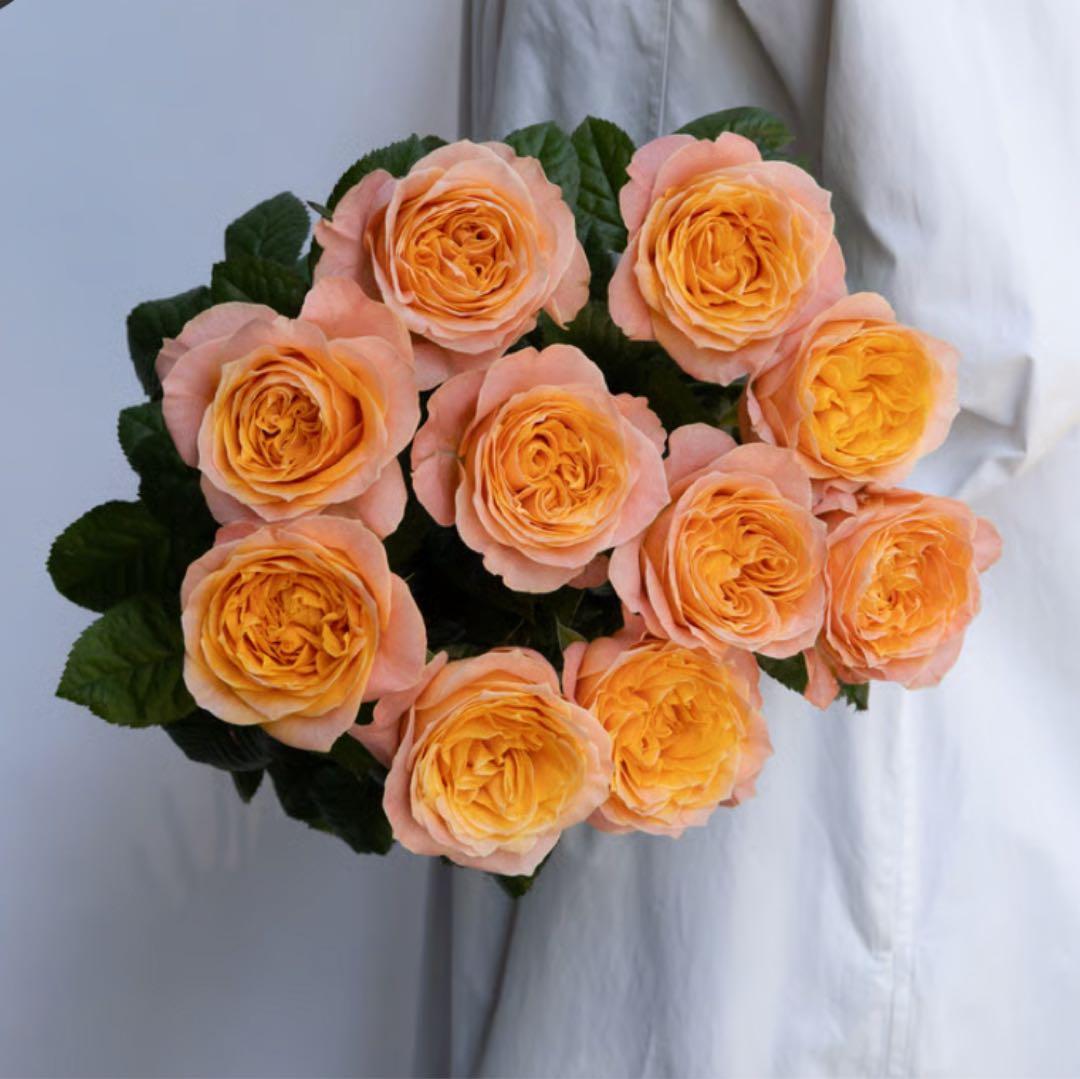 レア薔薇　切り花品　Behi。。。