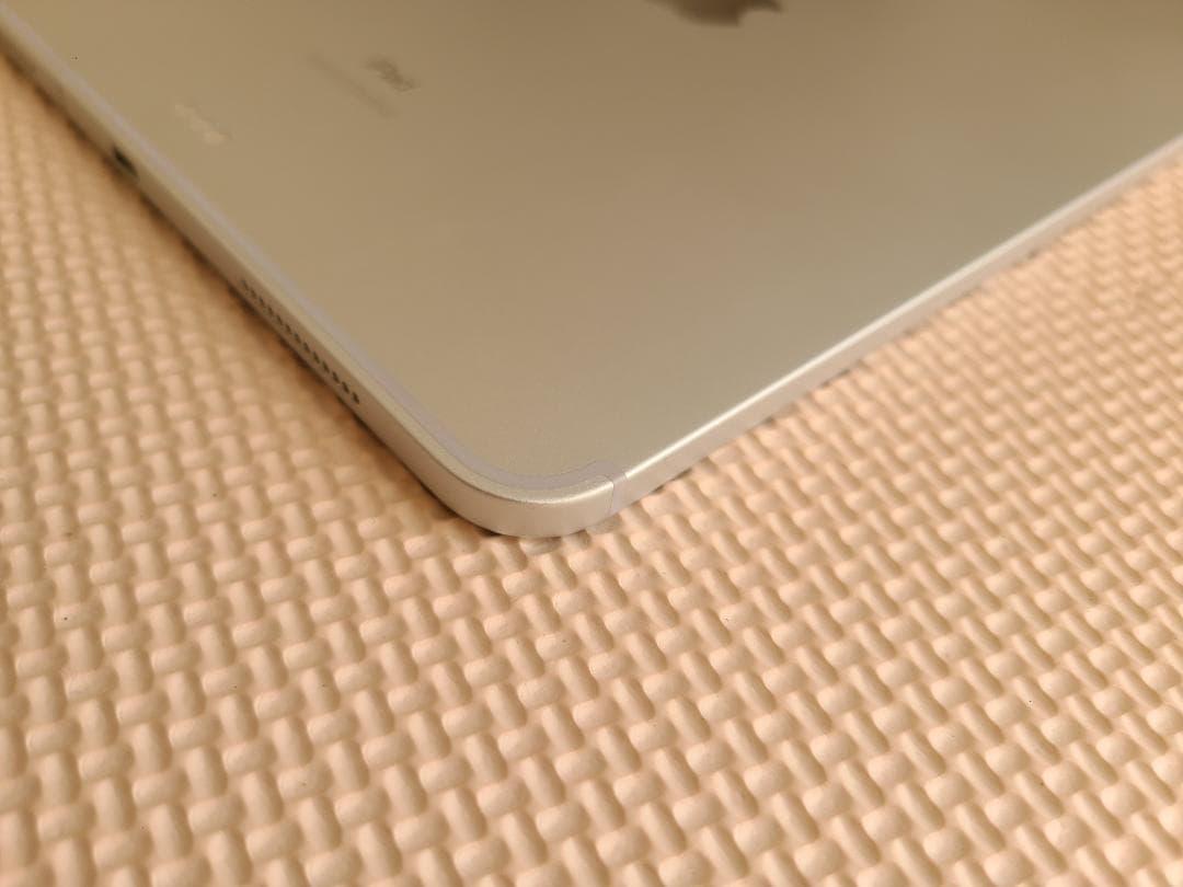 iPad Pro 11第1世代 256GB WiFi+セルラーモデル Pen 2