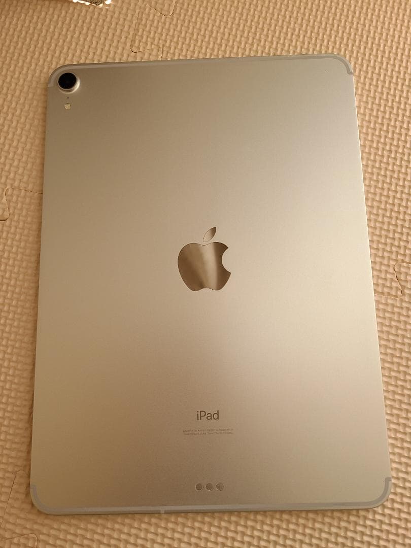 iPad Pro 11第1世代 256GB WiFi+セルラーモデル Pen 2
