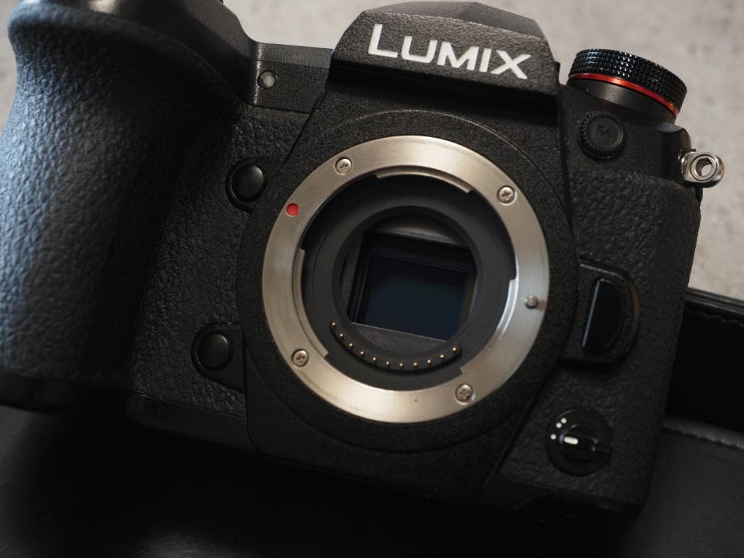 LUMIX DC-G9　シャッター回数115回　傷あり