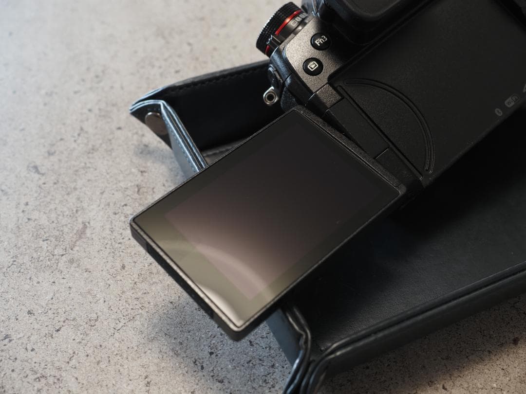 LUMIX DC-G9　シャッター回数115回　傷あり