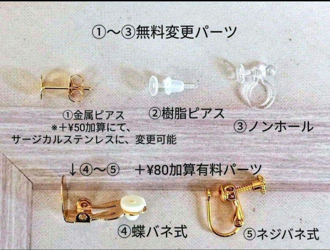 《ぷぅ様お取置品》NO.974 サージカルステンレスピアス