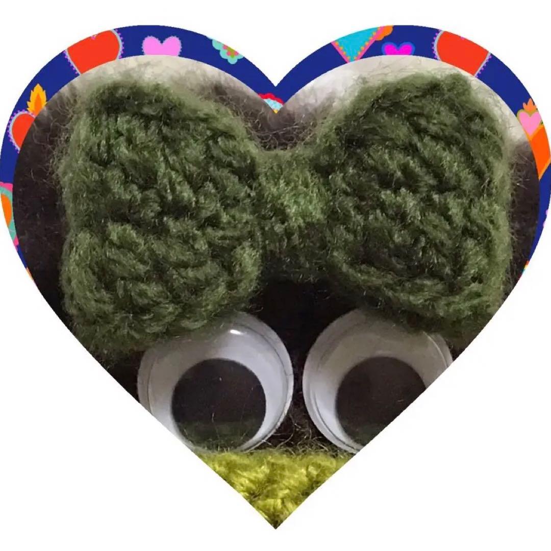 沙羅　パクパクモンスターオーダー　iQOSケース２点　フラワーモンちゃん