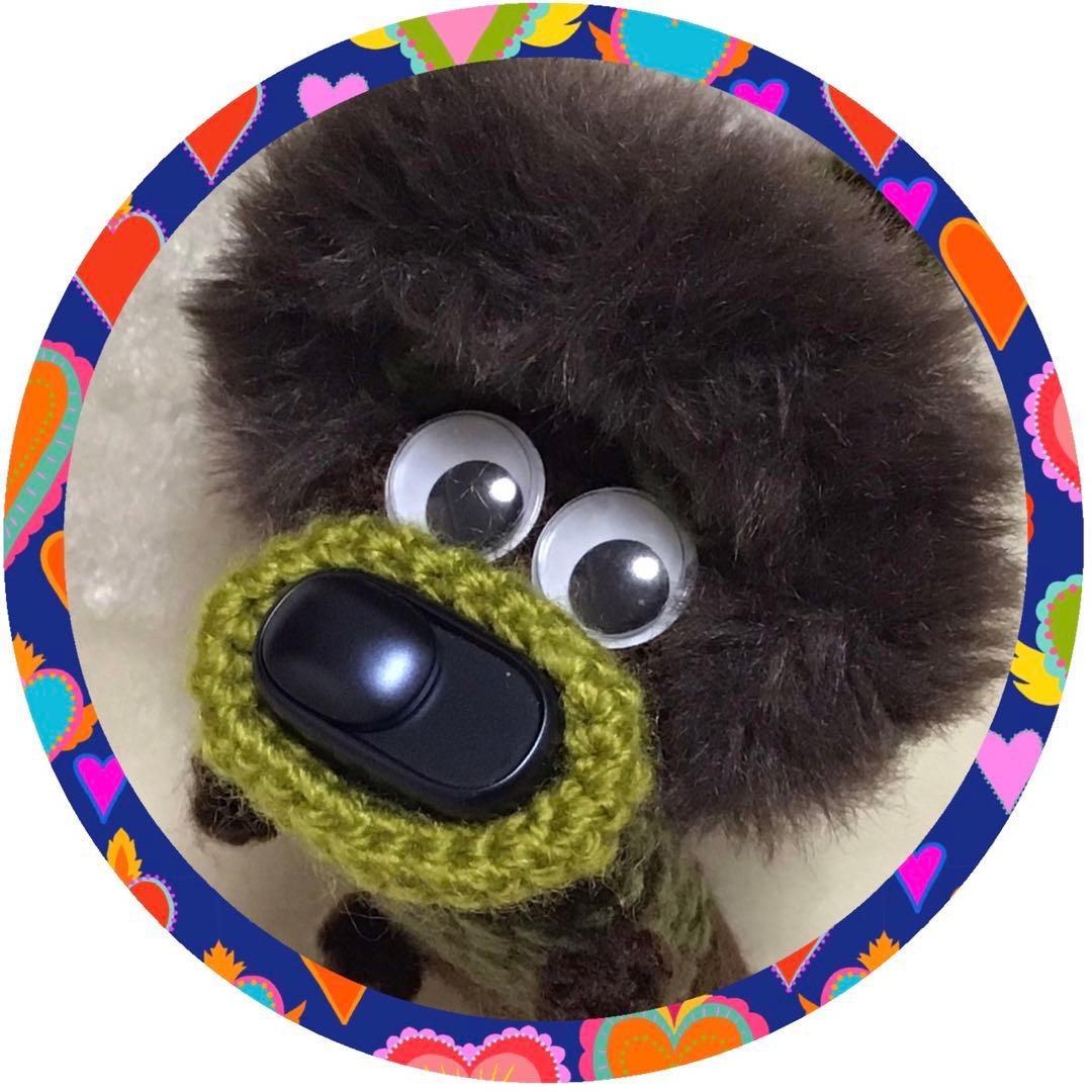 沙羅　パクパクモンスターオーダー　iQOSケース２点　フラワーモンちゃん