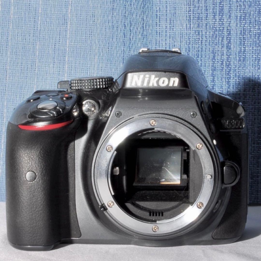 D5300 訳あり品！　✨ボディー傷少なく美品です✨　レアカラー　ＡＦ動作不良