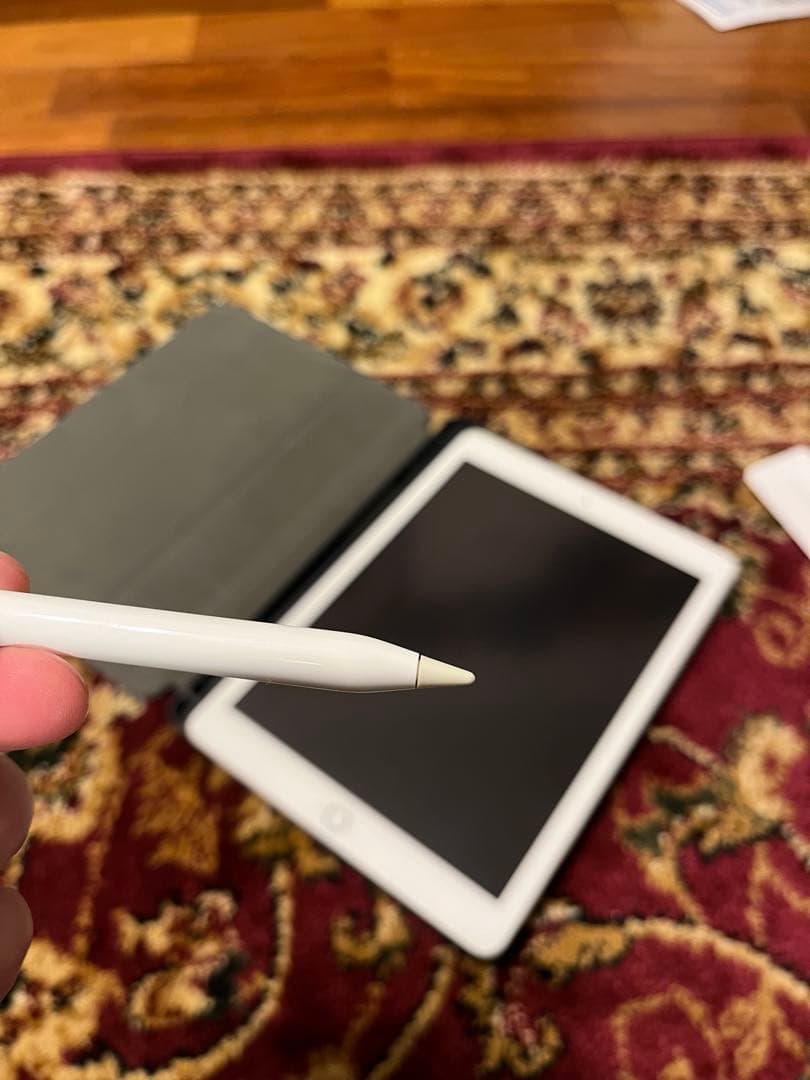 【再出品】ipad pro9.7　wifi＆cellular＋付属品